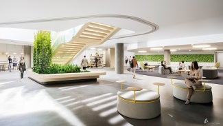 Lower level of the AIA Global Campus featuring beautifully designed stairs and natural plantings.