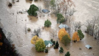 AIA Disaster Assistance Program Updates