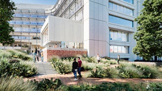 Green landscaped entrance to the AIA Global Campus.
