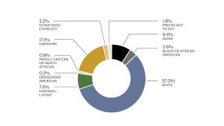 Chart showing race and ethnicity of Architects licensed in 2025.