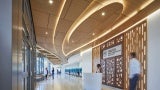 Gestural forms personify muscles at the ceiling and tendons on the floor. The reception desk is cartilage and the walls, a skeletal structure. The wood paneling highlights muscle and bone.