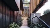 Concrete steps with green bushes on each side