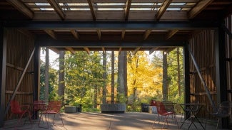 The arbor interior spills onto an exterior stone terrace with integrated gas fireplace, fostering year-round enjoyment.