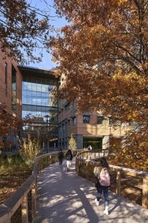 Sustainability was integral to the design of the Biomedical Sciences and Engineering Education facility (BSE), defining the building and strengthening the vitality of the USG campus.