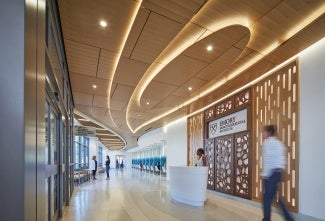 Gestural forms personify muscles at the ceiling and tendons on the floor. The reception desk is cartilage and the walls, a skeletal structure. The wood paneling highlights muscle and bone.
