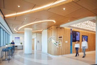 The ceiling references the interposition needed to heal and regenerate. Its parametric design simulates the molecular bone structure seen by surgeons pushing boundaries of orthopedic science.