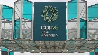 COP29 Sign