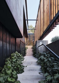 Concrete steps with green bushes on each side