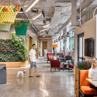 Interior space of a modern building that features a lot of built in planters
