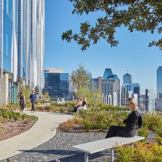 Small park on side high-rise building in a major city